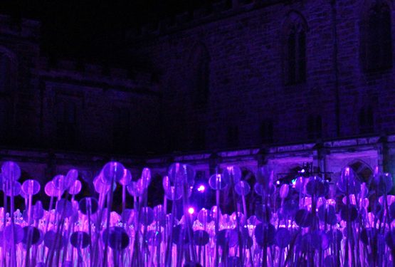 “Liên hoàn cước” Durham, Newcastle, và Edinburgh trong học kỳ đầu của mình (Phần 1)