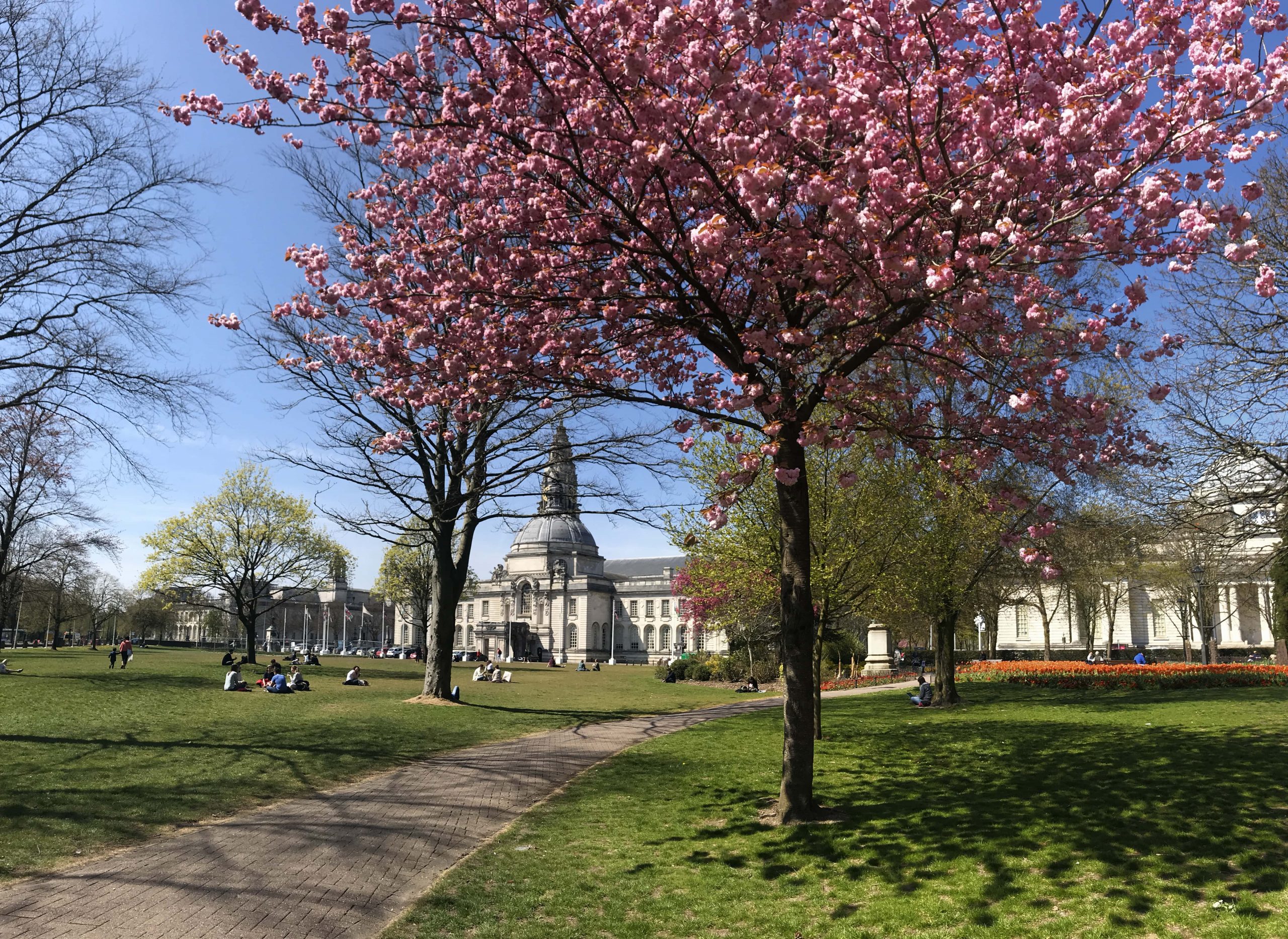 Studying and living in Wales – beautiful combination of city life and nature beauty